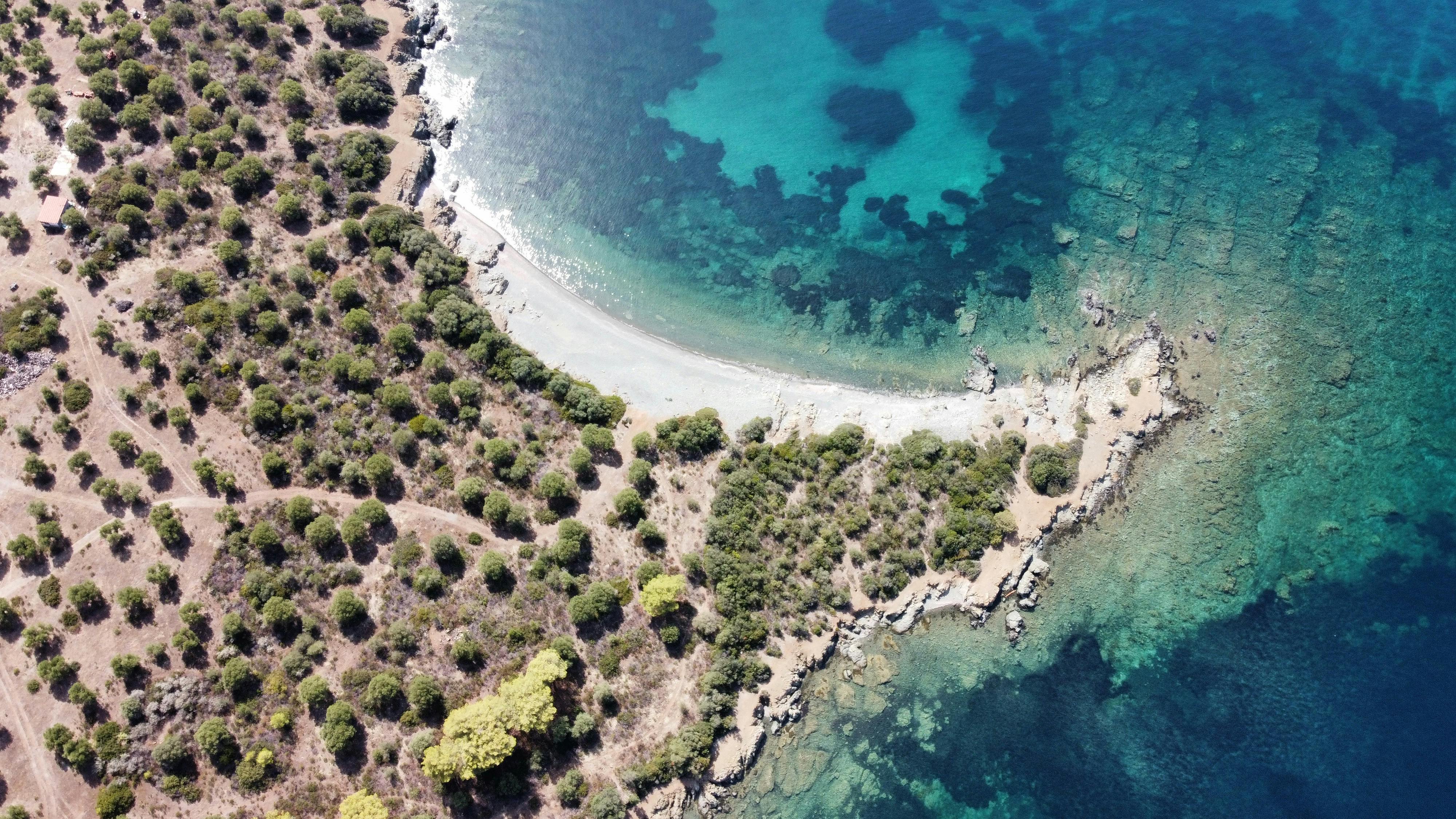 Golden beach in Kassandra